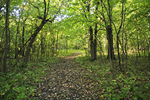 Greenleaf Lake State Recreation Area