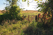 Greenleaf Lake State Recreation Area