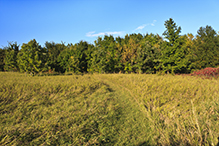 Greenleaf Lake State Recreation Area