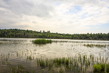 Greenwater Lake SNA