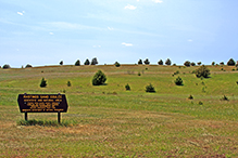 Hastings Sand Coulee SNA