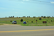 Hastings Sand Coulee SNA