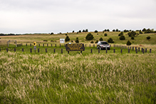 Hastings Sand Coulee SNA