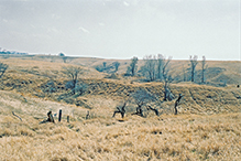Holthe Prairie SNA