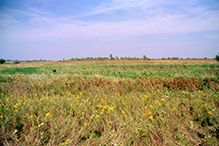 Joseph A. Tauer Prairie SNA