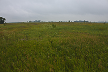 Joseph A. Tauer Prairie SNA