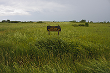 Joseph A. Tauer Prairie SNA