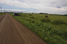 Joseph A. Tauer Prairie SNA