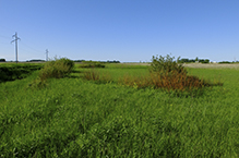 Joseph A. Tauer Prairie SNA