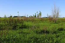 Joseph A. Tauer Prairie SNA