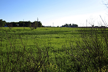 Joseph A. Tauer Prairie SNA