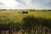 Joseph A. Tauer Prairie SNA