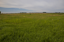 Joseph A. Tauer Prairie SNA