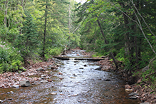 Kadunce River State Wayside