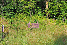 Lake Alexander Woods SNA – South Unit