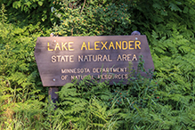 Lake Alexander Woods SNA, South Unit