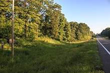 Lake Alexander Woods SNA, South Unit