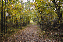 Lake Carlos State Park