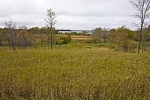 Lake Carlos State Park