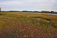 Lake Carlos State Park