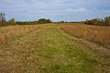 Lake Carlos State Park