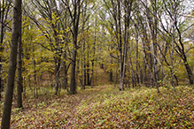 Lake Carlos State Park