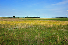 Lundblad Prairie SNA