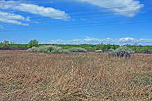 Minnesota Valley National Wildlife Refuge, Black Dog Preserve Unit