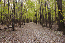 Minnesota Valley National Wildlife Refuge, Chaska Unit