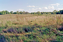 Minnesota Valley National Wildlife Refuge, Louisville Swamp Unit