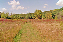 Minnesota Valley National Wildlife Refuge, Louisville Swamp Unit