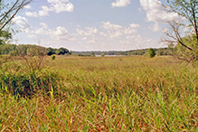 Minnesota Valley National Wildlife Refuge, Louisville Swamp Unit