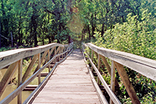 Minnesota Valley National Wildlife Refuge, Louisville Swamp Unit