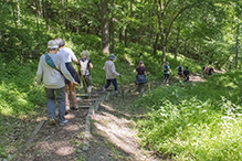 Magelssen Bluff Park