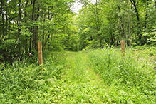 Mille Lacs Moraine SNA