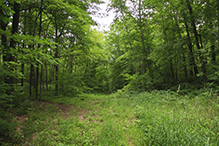 Mille Lacs Moraine SNA