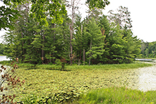 Mille Lacs Moraine SNA