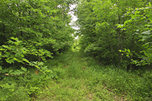 Mille Lacs Moraine SNA