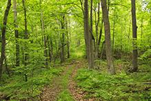 Mille Lacs Moraine SNA