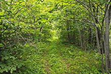 Mille Lacs Moraine SNA