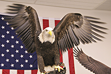 National Eagle Center