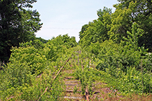 Nelson Wildlife Sanctuary