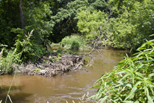 Nelson Wildlife Sanctuary