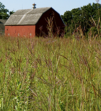 Ney Nature Center