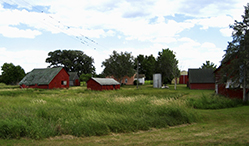 Ney Nature Center