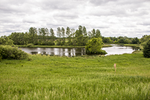 Ney Nature Center