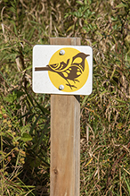 Norwegian Ridge Birding and Nature Trails