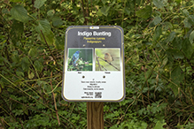 Norwegian Ridge Birding and Nature Trails