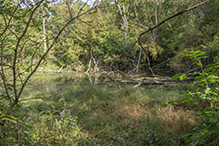 Norwegian Ridge Birding and Nature Trails
