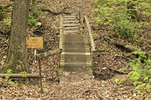 Norwegian Ridge Birding and Nature Trails